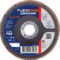 10000698-flexione