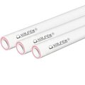 10102020g-valfex8