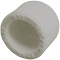 10113020g-valfex6
