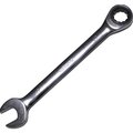 104948-hortz