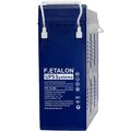 1100-12-200ft-etalon-battery
