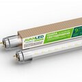 11206651-avanled
