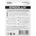 11743-ergolux-(2)
