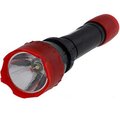 11787-ultraflash