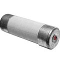 12003481-niled