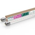12206011-avanled