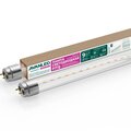 12206021-avanled