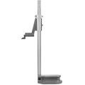 123731-shan