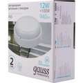 126411212-s-gauss-4