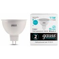 13521-gauss