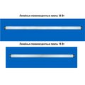 14098889-bellight