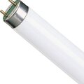 16859440-bellight