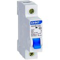 193166-chint