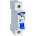 193172-chint
