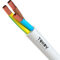 1945492-tokov-electric