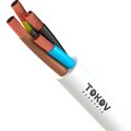 1945498-tokov-electric