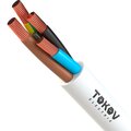 1945501-tokov-electric
