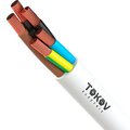 1945505-tokov-electric