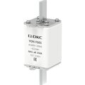 1fg01-0250-690v-ar-dkc