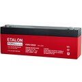 200-12-022s-etalon-battery
