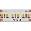 201061-maytoni