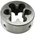 204146-hortz