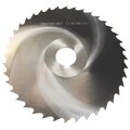 205846-hortz7