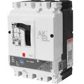 208673-akel