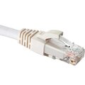 21s-u6-10wt-eurolan