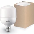 22354588-bellight4