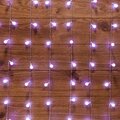 235-045-neon-night
