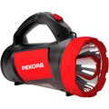 24286-rekord