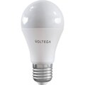 2429-voltega