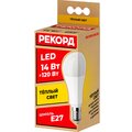 24369-rekord