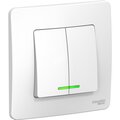 2439221-schneider-electric