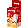 25042-rekord