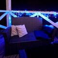 255-036-neon-night-1