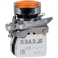 273062-keaz