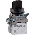 275273-keaz