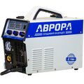 29078-avrora