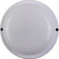 29608-feron-2