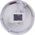 29608-feron-3