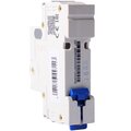 296710-chint-(5)