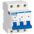 296819-chint