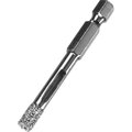 29865-06-zubr
