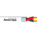2986960-avangard