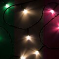 303-019-neon-night