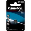 3071-camelion1
