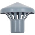 31000050-politek