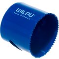 3105100101-wilpu-2
